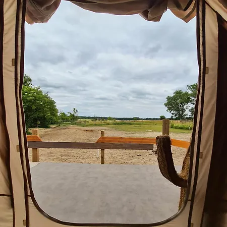 Luxuszelt In Einer Pferdeherde * Falkenberg (Markisch-Oderland)