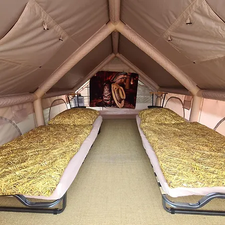 Luxuszelt In Einer Pferdeherde